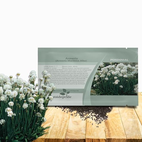 Outsidepride Alba Armeria Flower Seeds - 200 Pcs Perennial, Low-Maintenance Ground Cover Flower Seeds, Vibrant White Blooms for Butterfly Garden Seeds, Outdoor Landscaping & Cut Flowers