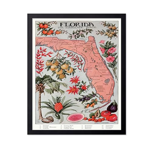 Poster Master Florida Vintage Map Poster - Fruity & Floral Map Print - Unique Wall Decor Gift for Home, Living Room, Kitchen, Bedroom, Bathroom - Illustrative Atlas Poster, 11x14 Black Framed