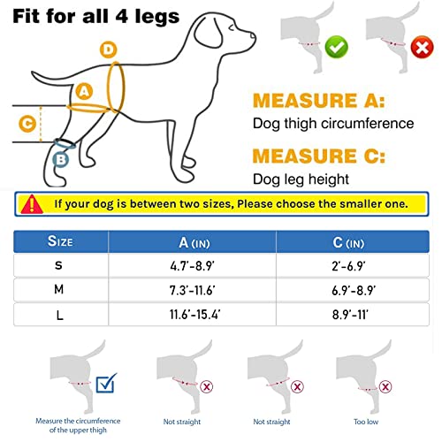 Image of basajaun Dog Knee Brace for Dog ACL Brace Front Leg or Rear Leg, CCL Brace Hind Leg (S)