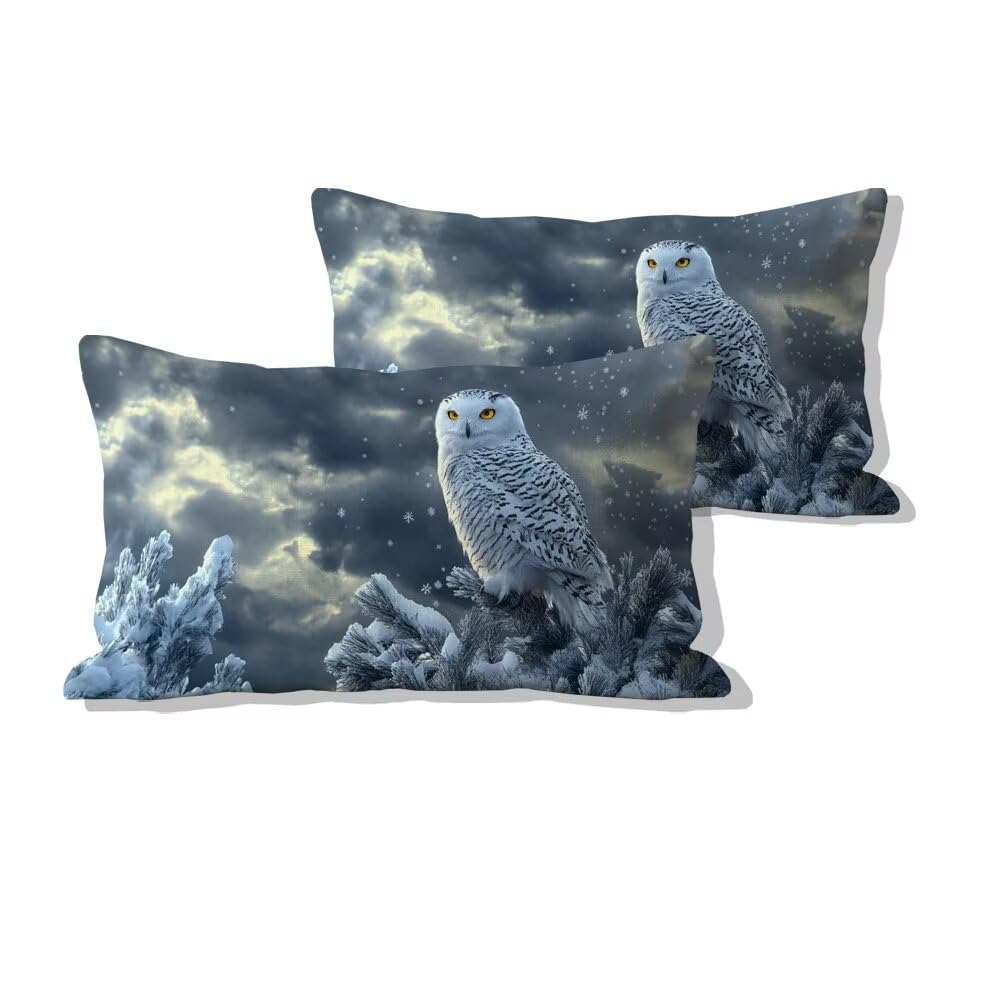 Taie oreiller hibou 50x90 cm pour salon moderne et cocooning