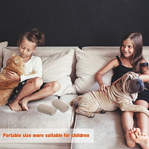 Xuniea 2 Stücke Haustier Haarentfernung Bimsstein Fußpflege Werkzeug Hundefell Entfernung Werkzeug Trimmstein für Hunde Auto Couch Möbel Bettwäsche Leicht zu Reinigen (Klein)