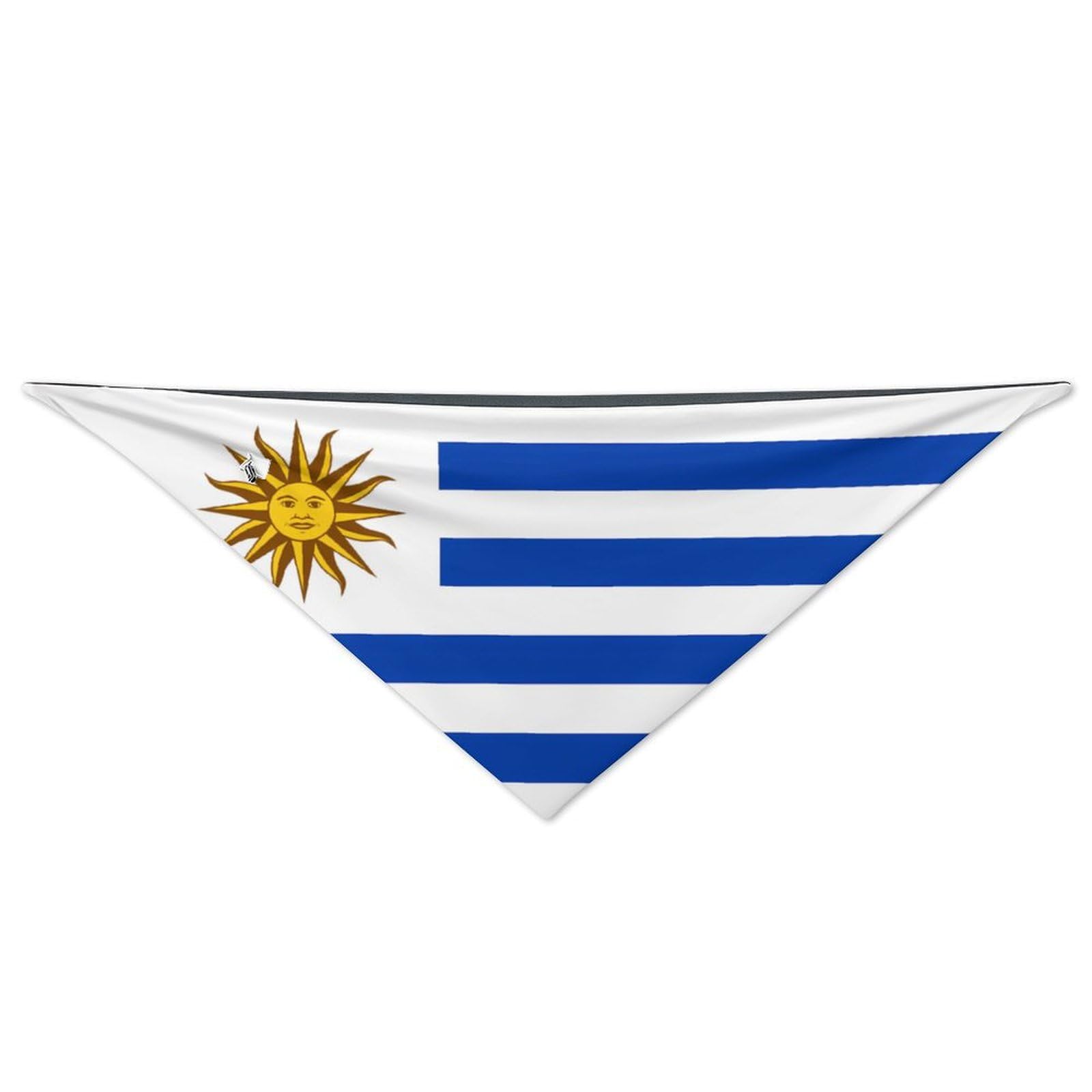 Uruguay Uruguayan Women's Scarf Wraps Neck Triangle Scarf Decorative Clothing Accessories 61