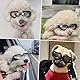 PETLESO Hunde Sonnenbrille für Kleine Hund Hundebrille Wasserdichter Anti-UV Schutzbrille für Kleine Hunde - Transparent