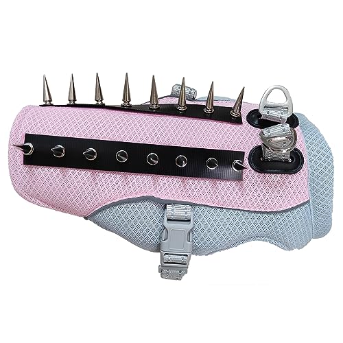 Spike Vest for Dogs The 15 best products compared Wild Explained