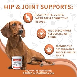   waggedy-Hip-and-Joint-Turmeric-Dog-Supplements-for-Joints-with-Glucosamine-MSM--All-Natural-Daily-Glucosamine-for-Dogs-to-Improve-Flexibility-Mobility-60-Dog-Chews