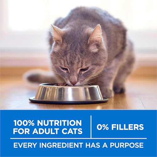 Purina ONE Plus High Protein Cat Food Dry Salmon and Ocean Whitefish Cat Skin and Coat Health Formula - 7 lb. Bag - image 7