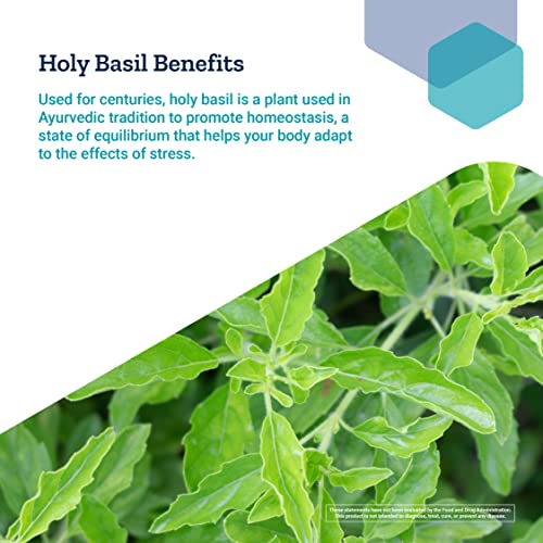 Life Extension Adrenal Energy Formula - Stress Management Supplements With Ashwagandha, Cordyceps, Holy Basil & Bacopa For Homeostasis Support – Gluten-Free, Non-Gmo, Vegetarian – 60 Capsules #TOP6