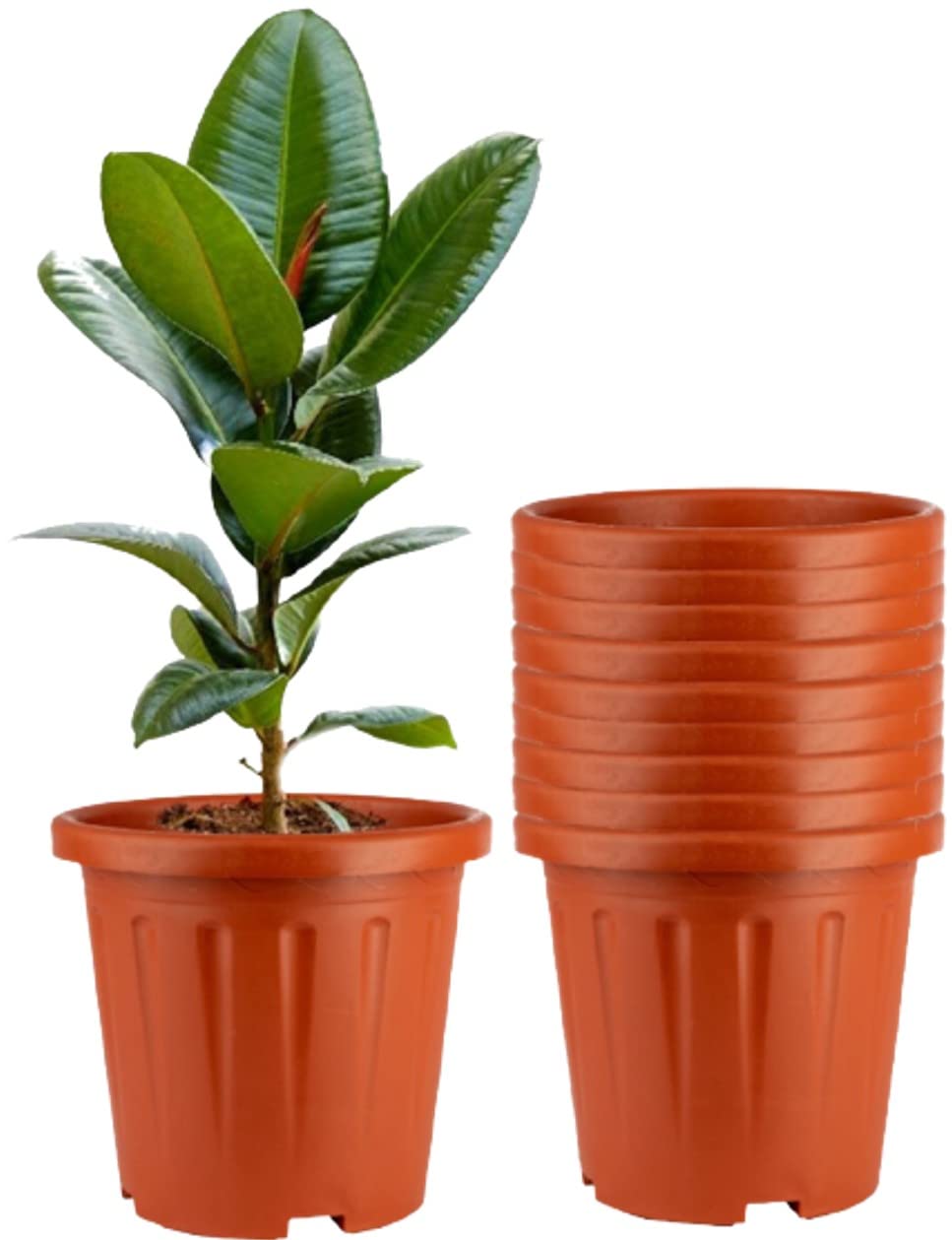 Tim Tim Agro 8 Inch Nursery Pots, 15 Packs Variety Plastic Pots with Drainage Hole, Plant Containers for Seedlings, Succulents, Transplanting (Red - Round) (B0BRNR9NN1) Amazon Price History, Amazon Price Tracker