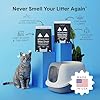 Boxie Probiotic Cat Litter, 40 Day Odor Control, Clumping Clay Kitty Litter, Odor Eliminating Probiotics, Dust-Free, No Fragrances No Fillers, 16 lb