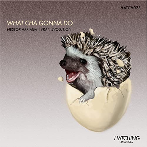 what-cha-gonna-do-by-nestor-arriaga-fran-evolution-on-amazon-music