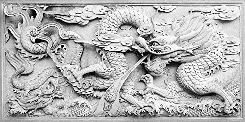 VIP.LINE Dragon Cameo Aquarium Background Poster PVC Fish Tank Decorations Landscape (48" x 18"/ 122 x 46cm)