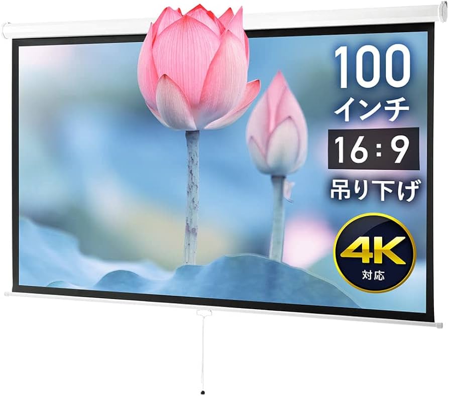 イーサプライ プロジェクタースクリーン 100インチワイド 16:9 壁掛け Amazon.co.jp: イーサプライ プロジェクタースクリーン 100