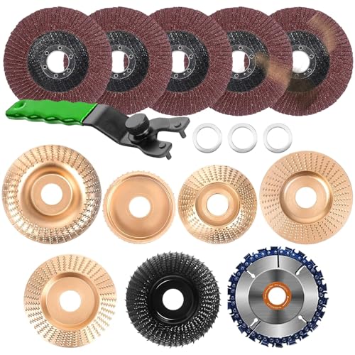 LIROPAU 13 Piezas Carburo de Tungsteno Disco Tallar Madera