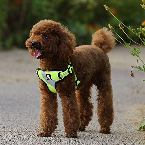 Hundegeschirr Reflektierende Sicherheitsweste für kleine mittelgroße Hunde TLH5991 (S, Neongelb)