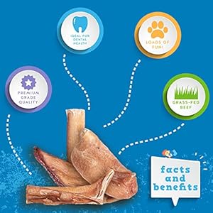 Jackpup Premium Canine Chews Bites Wholesome Canine Treats for Medium Canines All Pure Canine Treats Small Canines Single Ingredient Canine Deal with for Puppies Bully Sticks | Gullet Jerky bully Bites 2lb Cucciolini Doodles Jackpup premium canine chews bites wholesome canine treats for medium canines all pure canine treats small canines single ingredient canine deal with for puppies bully sticks | gullet jerky bully bites 2lb cucciolini doodles