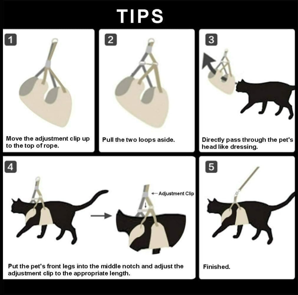 Pettorina Cane Taglia Piccola Con Imbottitura Morbida | Rete Ventilazione | Per Corsa E Training