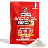 Rock and Paw Collagène pour Chiens | Poudre Naturelle Articulations avec Glucosamine, Chondroïtine, Foie de Poulet | Soutien Mobilité Chiens Âgés | Peau, Pelage et Os Sains | 225g