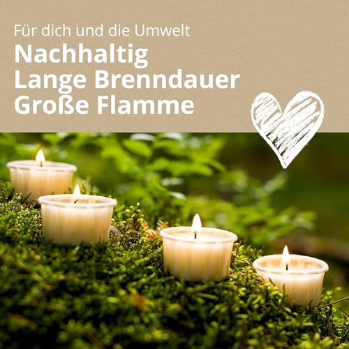 Wenzel Teelichter 12er Set – 6h Brenndauer, CO2-neutral & vegan – Rapswachs Kerzen ohne Aluhülle – Nachhaltig, Made in Germany – plastikfrei & durchsichtig