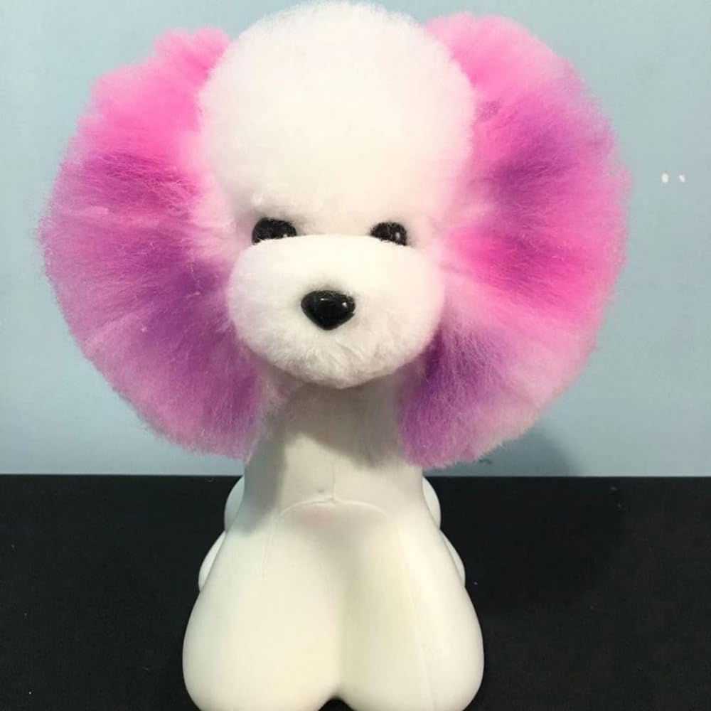 Amazon | モデルドッグ ヘッド テディ タイニープードル 小型