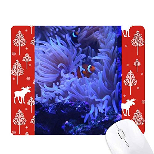 Tapis de souris Poisson Anémone pour égayer votre bureau