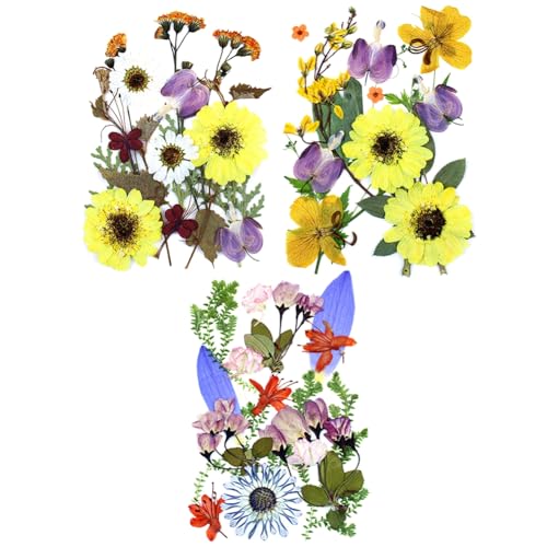 15 Pcs Dried Pressed Flowers for Resin, Real Pressed Flowers Dry Leaves Kit for Scrapbooking DIY Art Crafts, Epoxy Resin Jewelry Molds, Candle, Soap Making, Nails Décor, 3 Packs Style 17