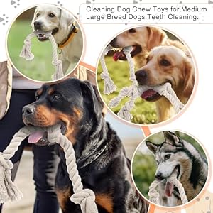 4 Pcs Natural Cotton Rope Dog Toys White Tough Dog Rope Toy for Aggressive Chewers Interactive Knot Dog Toys for Large Dog Tug of War Dog Toy Heavy Duty Pet Supplies for Teeth Cleaning 4 Pcs Natural Cotton Rope Dog Toys White Tough Dog Rope Toy for Aggressive Chewers Interactive Knot Dog Toys for Large Dog Tug of War Dog Toy Heavy Duty Pet Supplies for Teeth Cleaning