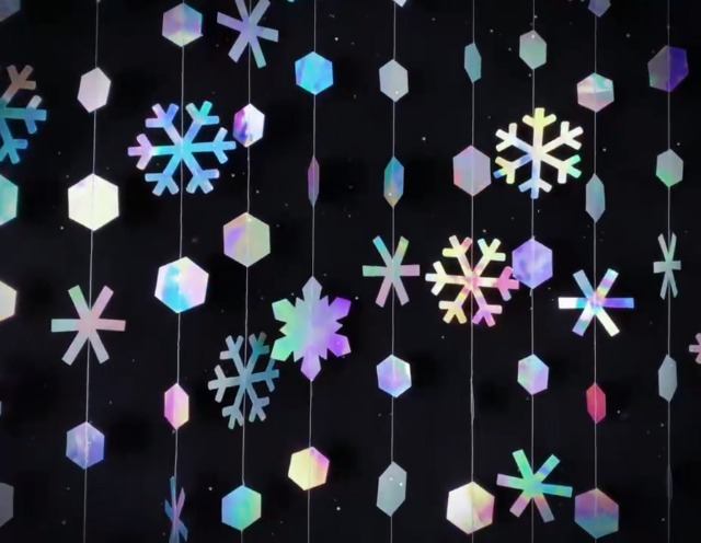 ウィンターワンダーランド _12.JPG?set_id=880000500F