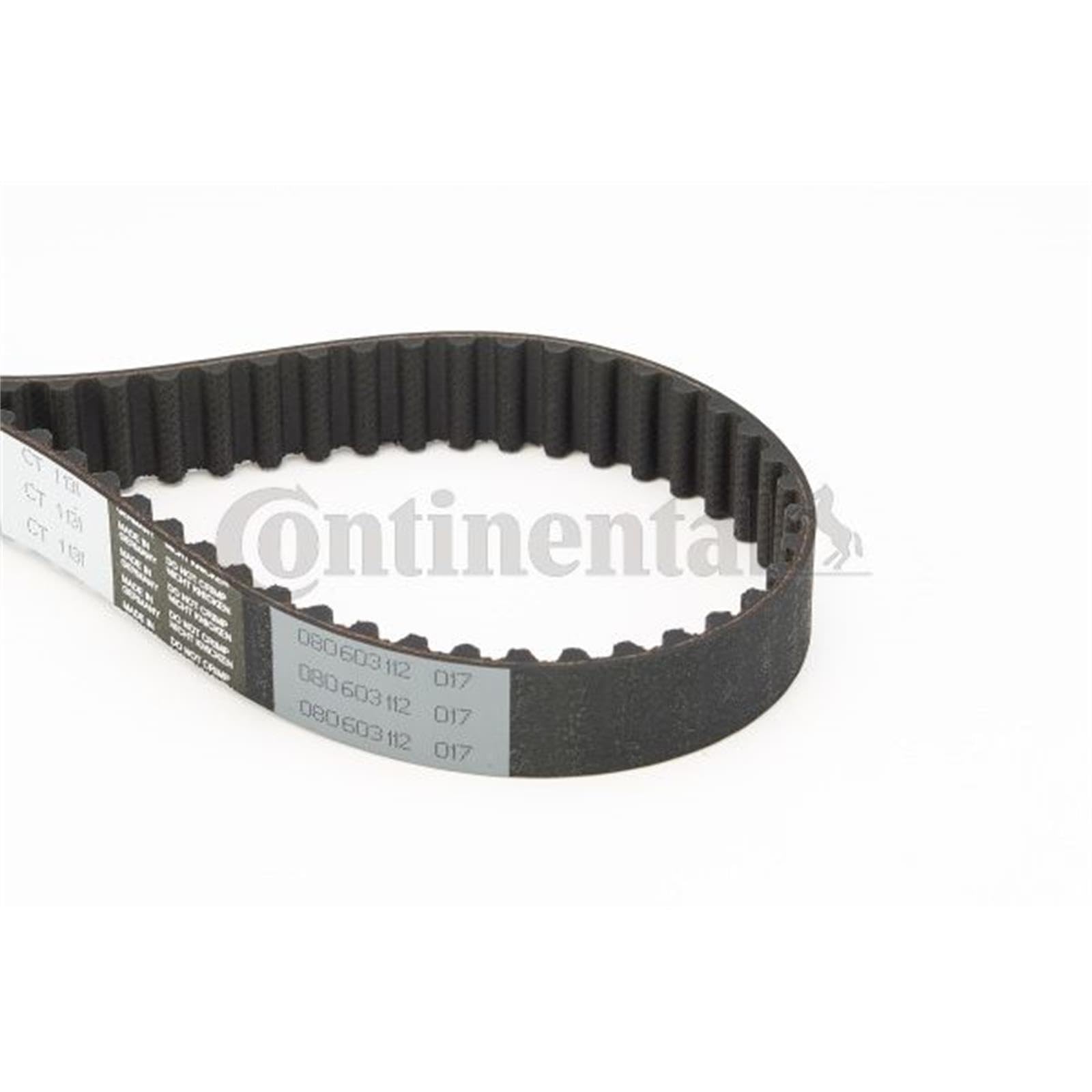 CONTITECH CT1131K1 Correa