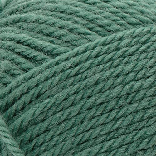 Image of Patons Classic Wool Yarn, Rich Grass