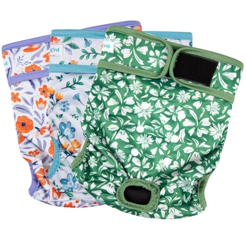 Image of Paw Legend Washable Reusable Female Dog Period Diapers for Heat Doggie Puppy Diapers for Female Dogs (3 Pack,X-Small)