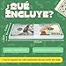 EIGHT4TWO® 100 x $ 100 Dinero Juguete Imagen de EIGHT4TWO® 100 x $ 100 Dinero Juguete