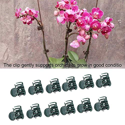 100Pcs Plant Orchid Clips, Mini Plastic Flower Orchid Stem Clips Garden Clips for Orchid Support - Image 4