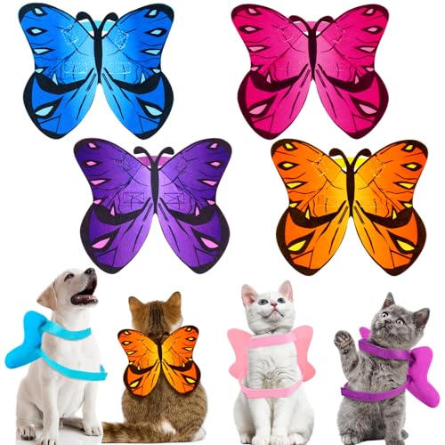 Eccliy 4 L   RX`[  nEB p[eB[ fR[V nEB q  [h RXv obg RX`[ ߑ 킢 q L hXAbv ANZT[