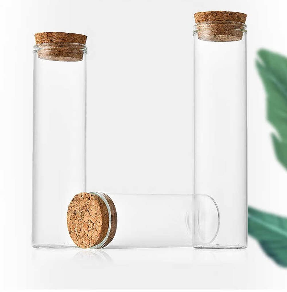 10 PZ 60ML/2OZ Vuoto Trasparente Tubi di Prova di Vetro Ricaricabile Fiala con Tappo di sughero Bottiglia In Miniatura Reagant Jar Bottiglia per Lab Party Favors Candy Spezie Perline