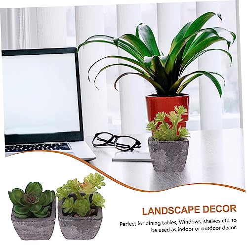 NUSITOU 2 Stuks Tuinaanleg Mini Bonsai Prop Ingemaakte Nepcactus Levendige Bonsai Lichte Huisdecoratie Voor Thuis Kunstmatige Sappige Decoraties Levensechte Cactus Plant Pvc Rekwisieten - Afbeelding 4