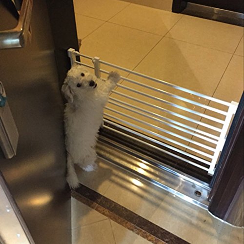 Qianle 120*24cm Hunde Absperrgitter Welpenauslauf für Hunde Kaninchen und Andere Kleine Haustiere