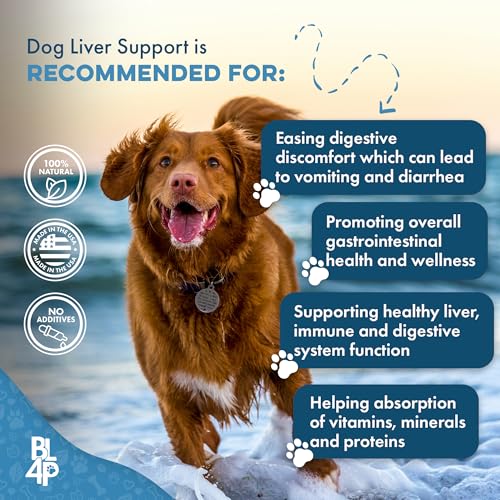 Hepatic Liver Support for Dogs, Dissolvable Homeopathic Digestive Canine Supplement for Liver Detox and Nutrient Absorption, 100% All Natural, Easy to Give, Free of Chemicals or Additives, 400 Pills - Thumbnail 4