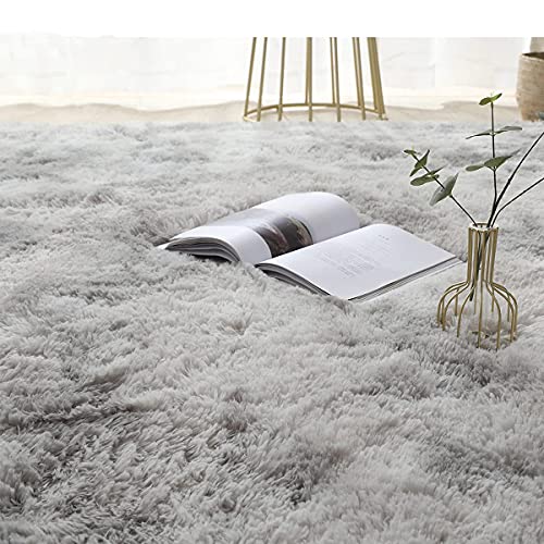 Ultra Soft Fluffy Area Rugs For Bedroom 4X6, Shaggy Bedroom Carpet, Plush Living Room Shag Furry Floor Rugs, Non-Slip Tie-Dyed Floor Carpet #TOP1
