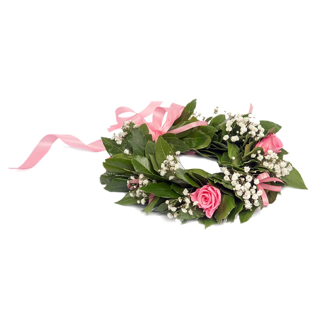 Corona di alloro per laurea con roselline rosa stabilizzate e Gypsophia - corona di laurea in alloro fresco fatta a mano in Italia - roselline stabilizzate, velo da sposa fresco e fiocchetti in raso.