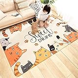 Escena: Adecuado para decoración y limpieza, como restaurantes, habitaciones familiares, pasillos, vestíbulos, salas de juegos y habitaciones infantiles, etc. Se puede colocar frente a la puerta sin bloquear la puerta. Absorbe la humedad y mantiene el suelo de la habitación seco y limpio.