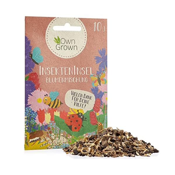 Insekten Insel: 10g insektenfreundliche Blumenwiese Samen - Wildblumensamen Mischung mehrjährig und einjährig…