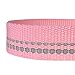 Blueberry Pet 3M Reflective Pastel Color Dog Leash with Soft & Comfortable Handle, 5 ft x 3/4