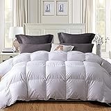 Globon Down Comforter King , Siberian Down Duvet Insert, 60OZ, 700 Fill Power, 100% Cotton Shell...