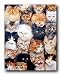 Cute Cats Breed Collage Pet Animal Kittens Wall Decor Art Print Poster (16x20)