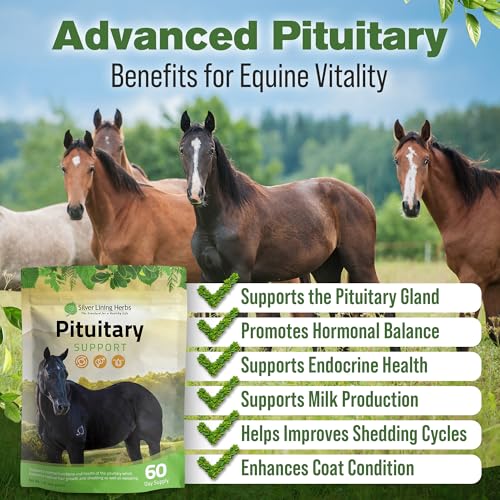 Silver Lining Herbs Pituitary Gland Supplements for Horses - Horse Supplements for Equine Metabolic Support, Cushing’s, Sweating & Shedding Issues - Mood & Energy Horse Supplement - 1 lb 60-Day Supply - Image 3