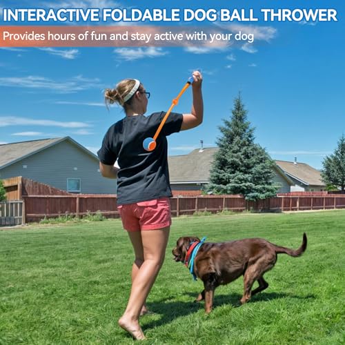 ALL FOR PAWS 63CM ballwurfmaschine Hund | Hundeballschleuder | Klappbarer Ballwerfer mit Tennisball-Griff, inkl. 6.5CM Ball(2.5'') – für Apportiertraining & Outdoor-Spiele