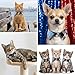 Macuezu 2 Pcs Plaid Cat Collars, Cat Bowtie Collar for Boy with Removable Shirt Collar, Cute Plaid Kitten Collars with Bell, Adjustable Size for Small Cats Boys