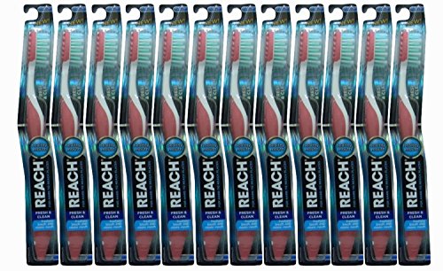Reach Toothbrushes Fresh & Clean