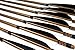 TTFLY FLETCHING 12pcs Parabolic 5