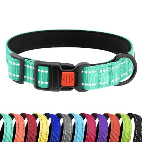 CollarDirect Reflektierendes Hundehalsband für kleinen, mittelgroßen, großen Hund, Welpen mit Schnellverschluss, Hündin, Rüde, 48 Sorten, Nylon Wasserfest